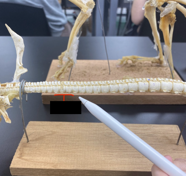<p>What part is this</p>