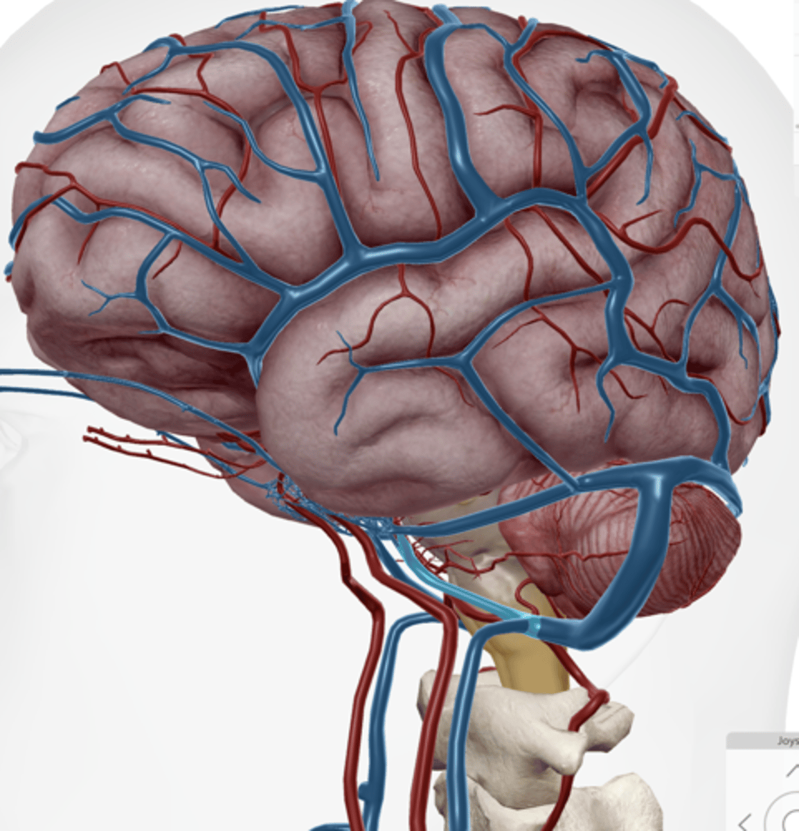 knowt flashcard image