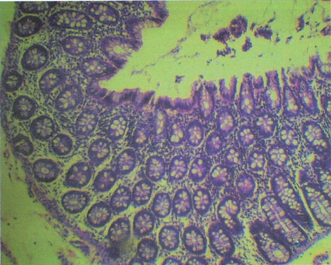 <p>Identify the structure</p>