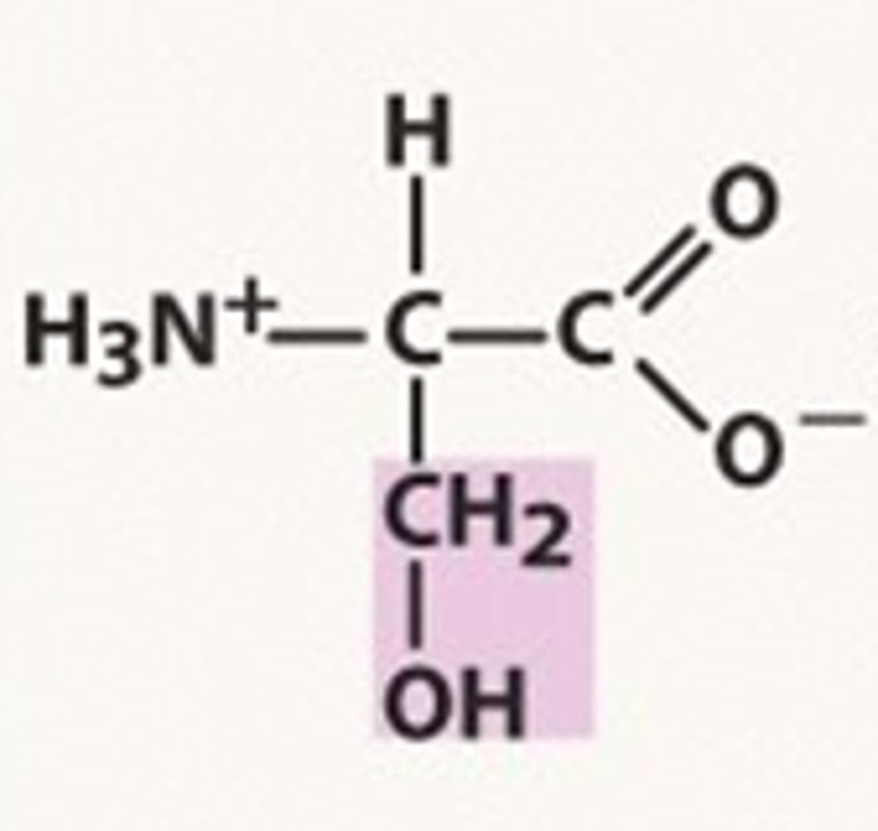 <p>Ser, S; one of two alcohol amino acids. Similar structure as Cysteine -- both start off with CH2, and have a second component in the side-chain which ends in an H. For serine it's -oH; for cysteine, it's -sH.</p>
