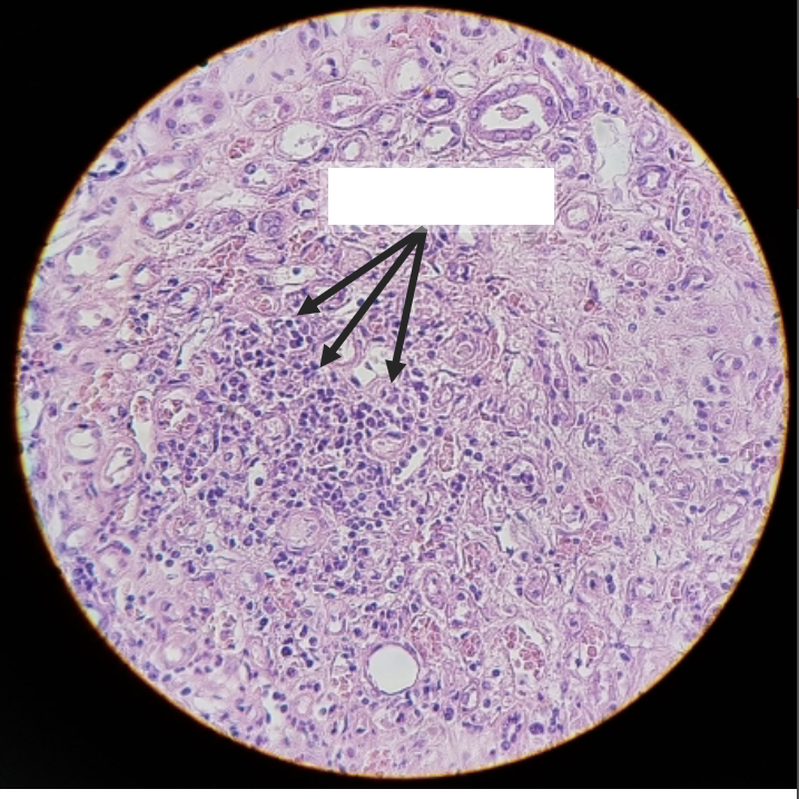 <p>what is this?</p>