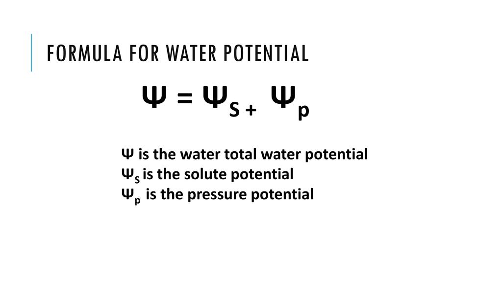<p>physical property, predicts direction water will flow</p><ul><li><p>high water potential → low water potential</p></li><li><p>low solute → high solute concentration</p></li><li><p>high pressure → low pressure</p></li></ul><p></p>