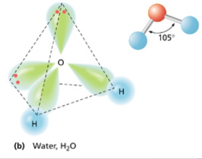 <ul><li><p>AB<sub>2</sub>E or AB<sub>2</sub>E<sub>2</sub></p></li><li><p>3 or 4 electron domains</p></li><li><p>1 or 2 lone pairs</p></li><li><p></p></li><li><p>Electron domain geometry: tetrahedral (2 lone pairs) or trigonal planar (1 lone pairs)</p></li></ul>