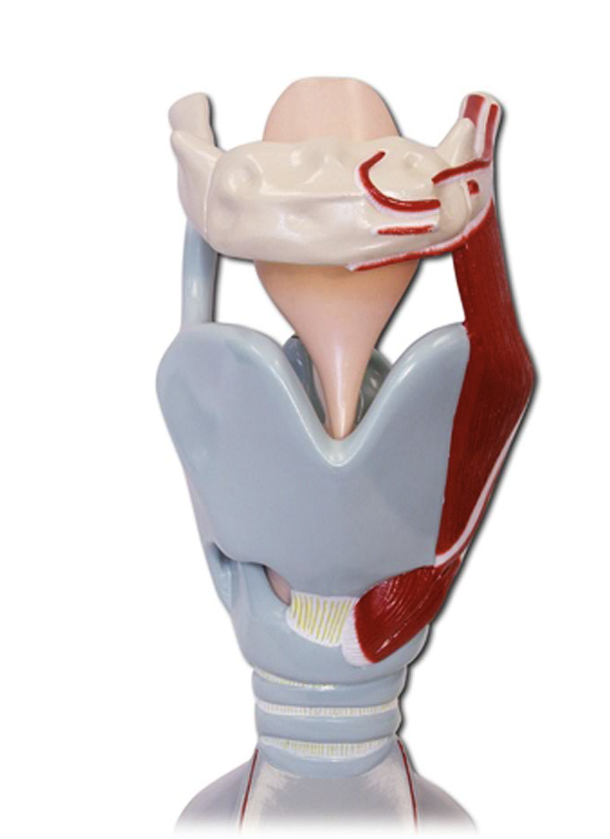 <p>What is this?</p>