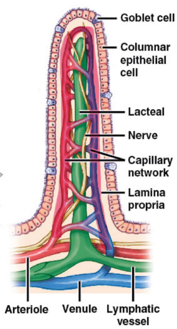 <p>What is the highlighted portion? </p>
