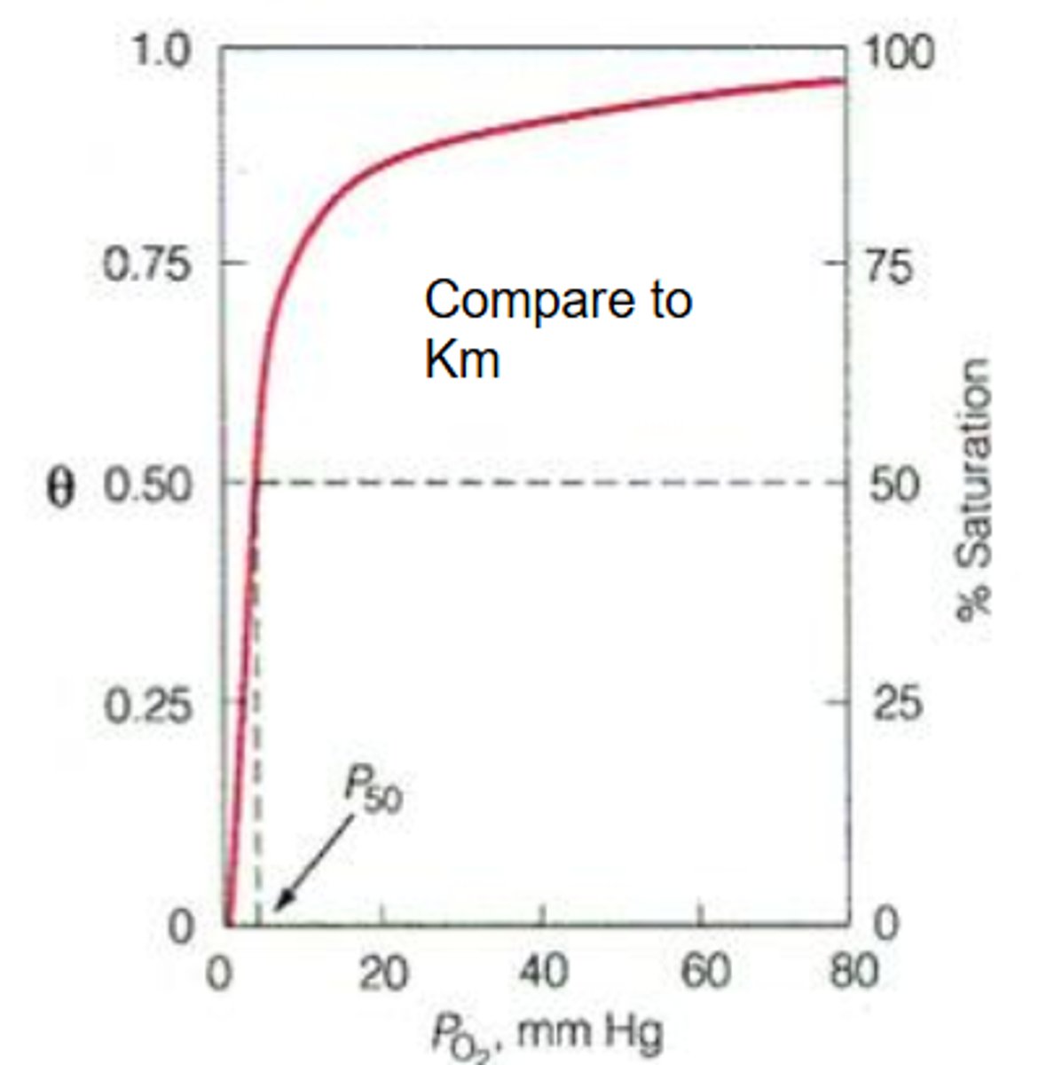 <p>The binding curve for myoglobin binding to oxygen is ______________</p><p>means 1 P50 only</p>