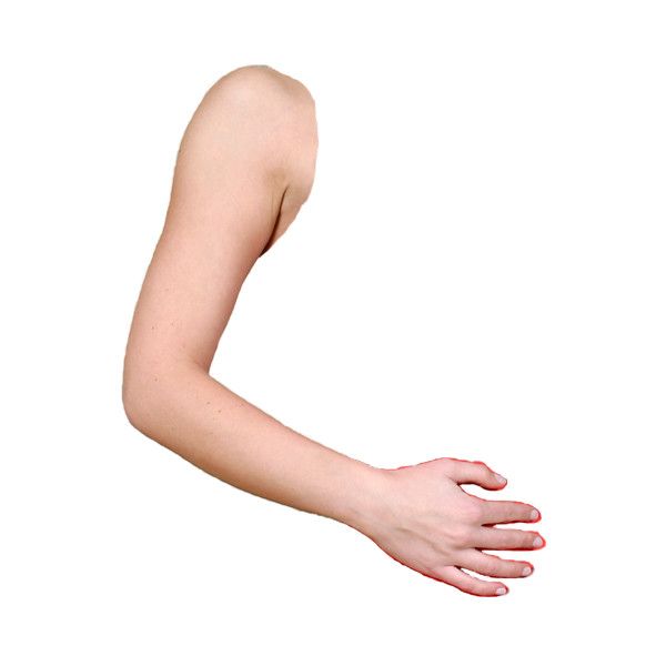 <p>arm</p>