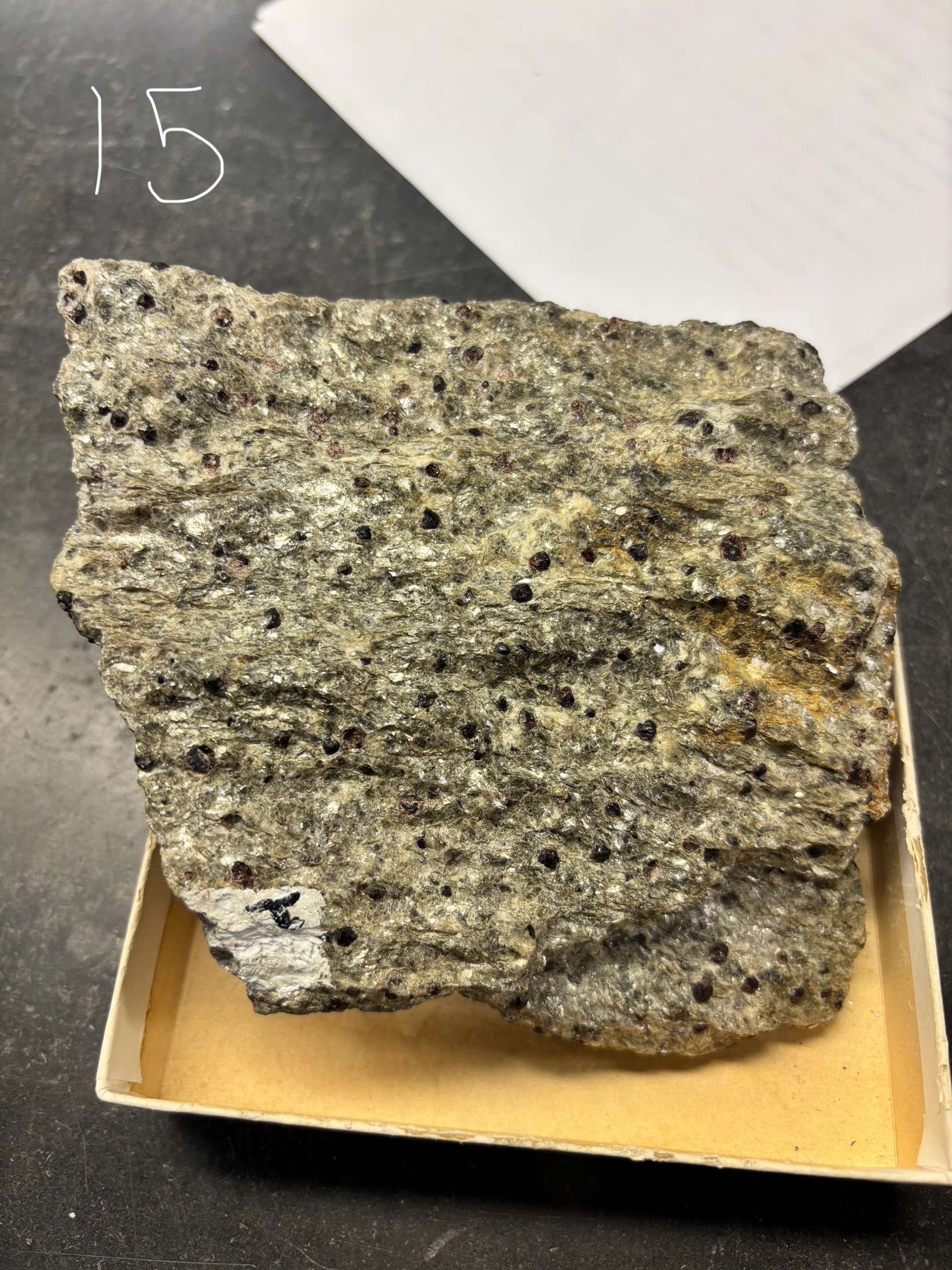 <p>Minerals Present ?</p><p>Overall texture ?</p><p>Rock Name ?</p>