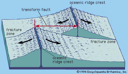 <p>steep drops/juts; indicate age </p>