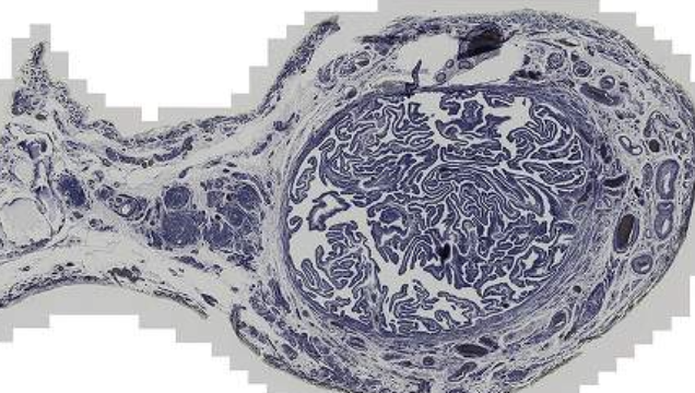 <p>What is this?</p>