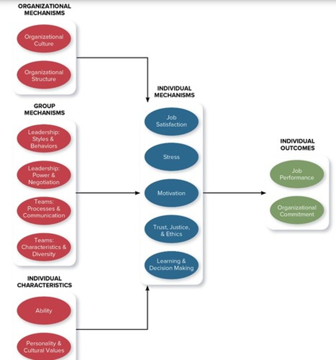 <p>Study of attitudes and behaviors in organizations.</p>