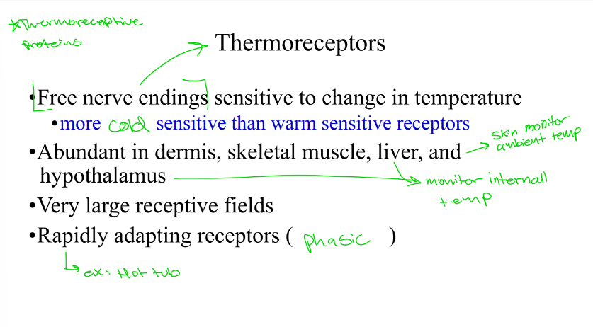 <p>Receptors =</p>