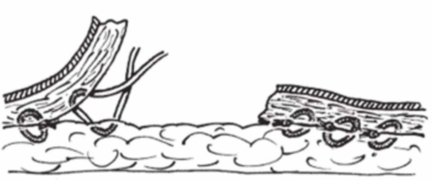 <p>What is demonstrated here?</p>