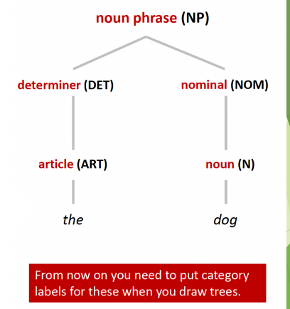 <p>words centered around a noun</p><ul><li><p>DET</p></li><li><p>NOM</p></li></ul><p>Constituents: </p><ul><li><p>adjective phrases AP </p><ul><li><p>e.g. the <u>red </u>bicycle </p></li></ul></li></ul><ul><li><p>Prepositional phrases PP </p><ul><li><p>e.g. the man <u>in the moon</u></p></li></ul></li></ul><p></p>