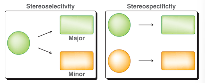 <p>stereoselective: substrate is not necessarily stereoisomeric, but substrate can produce two stereoisomeric products with one in higher yield</p><p>stereospecific: substrate is stereoisomeric, stereochemical outcome is dependent on which substrate is used</p>