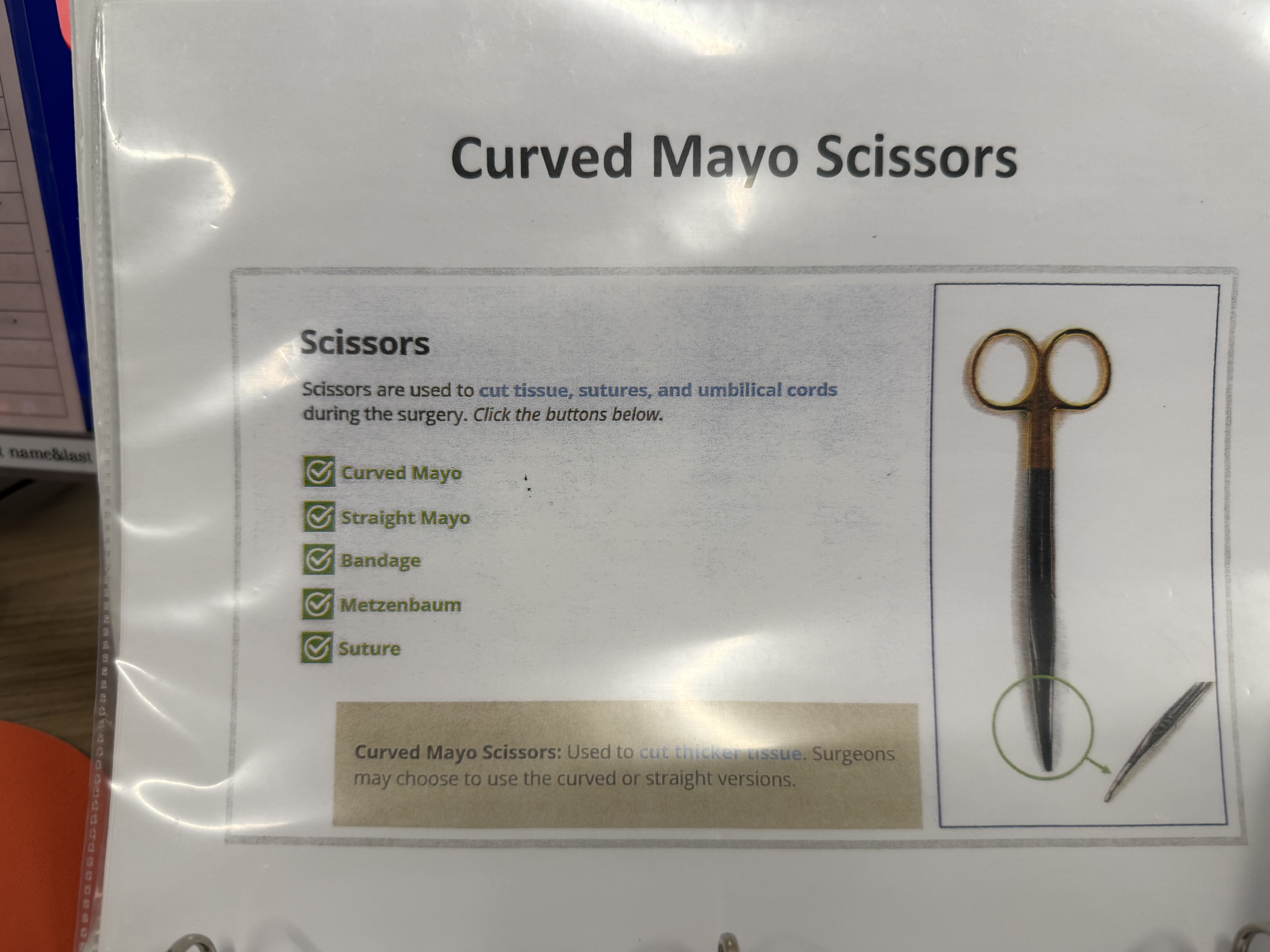 <p>Curved Mayo Scissors </p>