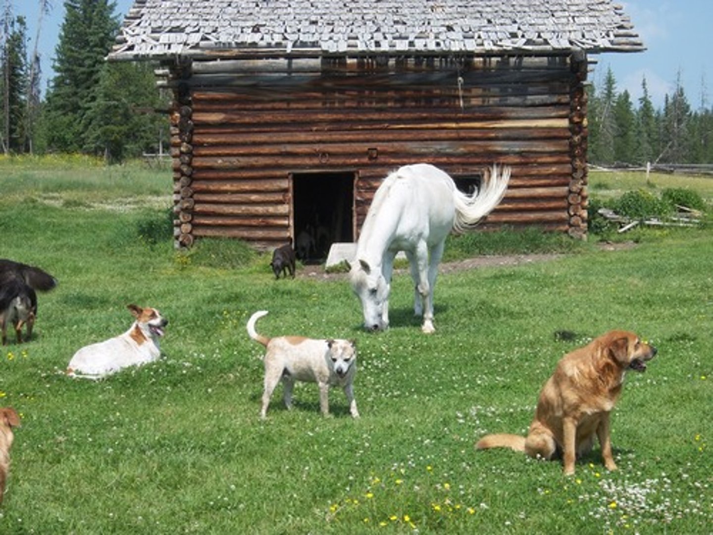 <p>khu bảo tồn</p>