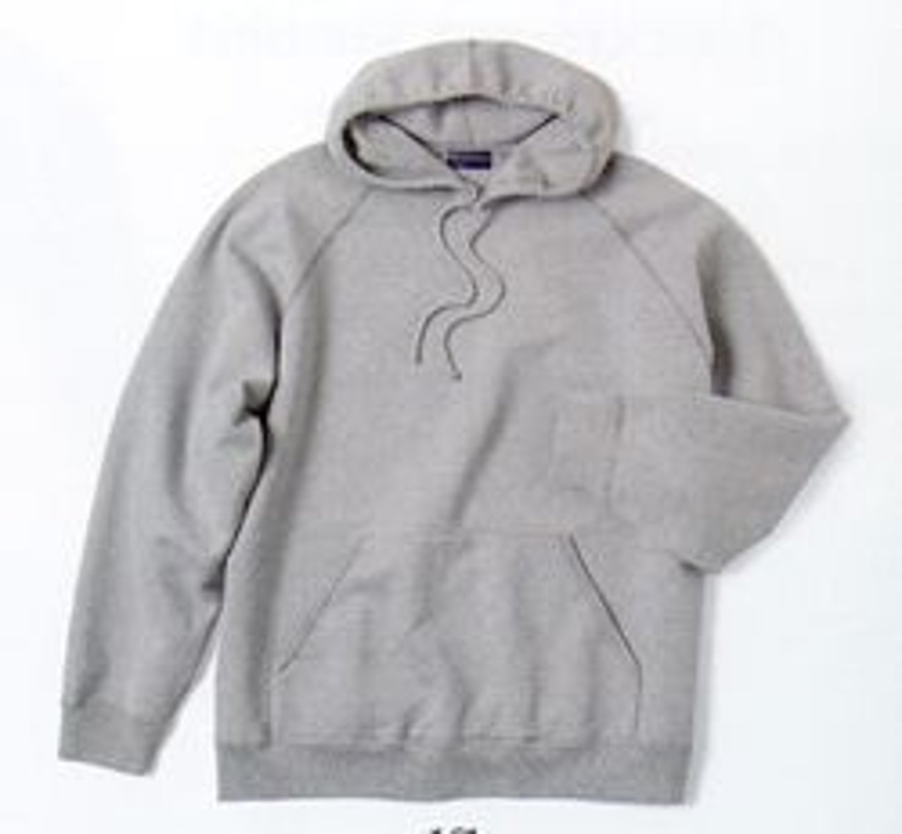 <p>a sweatshirt</p>