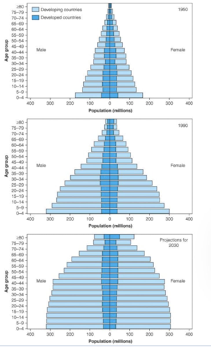 <p>Population age distribution for developing and developed countries by age group and sex worldwide, 1950,1990, and 203</p>