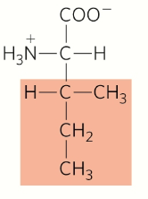<p>Nonpolar, aliphatic</p>