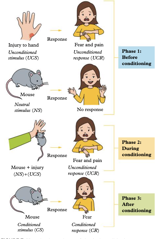 <p>a factor or an event</p><p>that triggers the</p><p>onset of an illness, a</p><p>disorder or a disease<br><br></p>