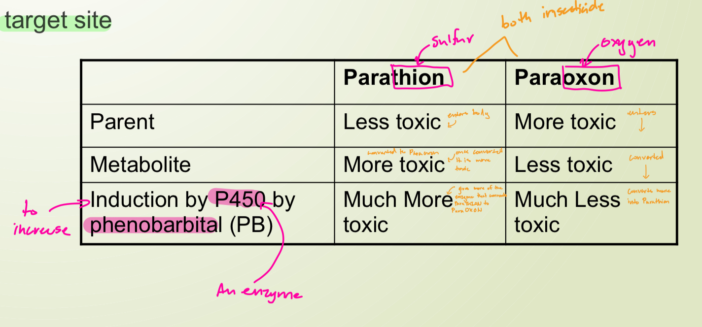 <p>Disposition includes <strong>absorption</strong>, <strong>biotransformation</strong>, <strong>distribution</strong> and <strong>excretion</strong> of a chemical agent. In this type of antagonism, a <strong>metabolite</strong> of parent compound <strong>reaches the target site</strong></p>