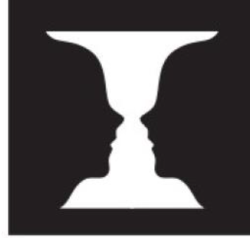 <p>Using one of the two images, explain the statement "perception is not neutral". (the other is the necker cube)</p>