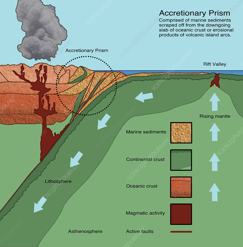 <p>a compressional zone situtated between the deep sea trench and the volcanic arc that widens with the time as sediments are deformed and plastered to its seqared</p><p>→ mud is scraped off it as it is subducted </p><p>→ material from underwater landlsides are crushed aganist this </p>