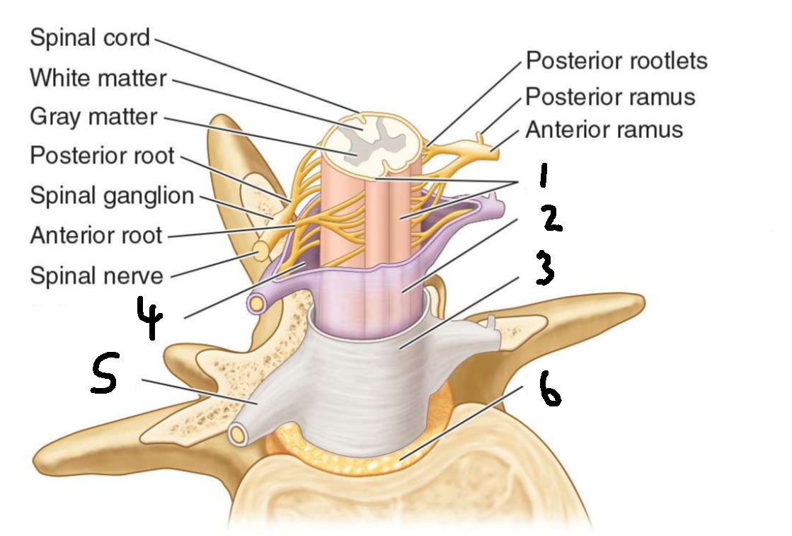 <p>What is 3?</p>