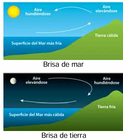 <p>El calor específico del agua hace que el calentamiento y enfriamiento necesiten más temperatura (tierra se calienta antes). </p><p>El aire caliente de la tierra cálida sube, dejando un hueco que rellena el aire frio del mar. Por la noche esto tiene el efecto contrario, la brisa del mar es más cálida.</p>