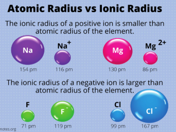 <p><u>Smaller vs. Larger</u></p><p>The ionic radii of cations (aka metals) is generally ________ than the atomic radii of their corresponding neutral atom</p>