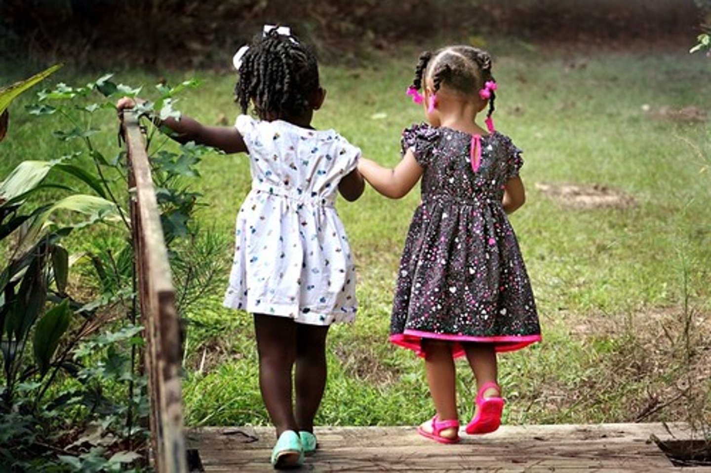 <p>friend</p>