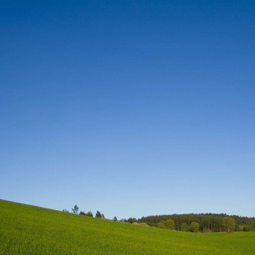 <p>Clear sky</p>