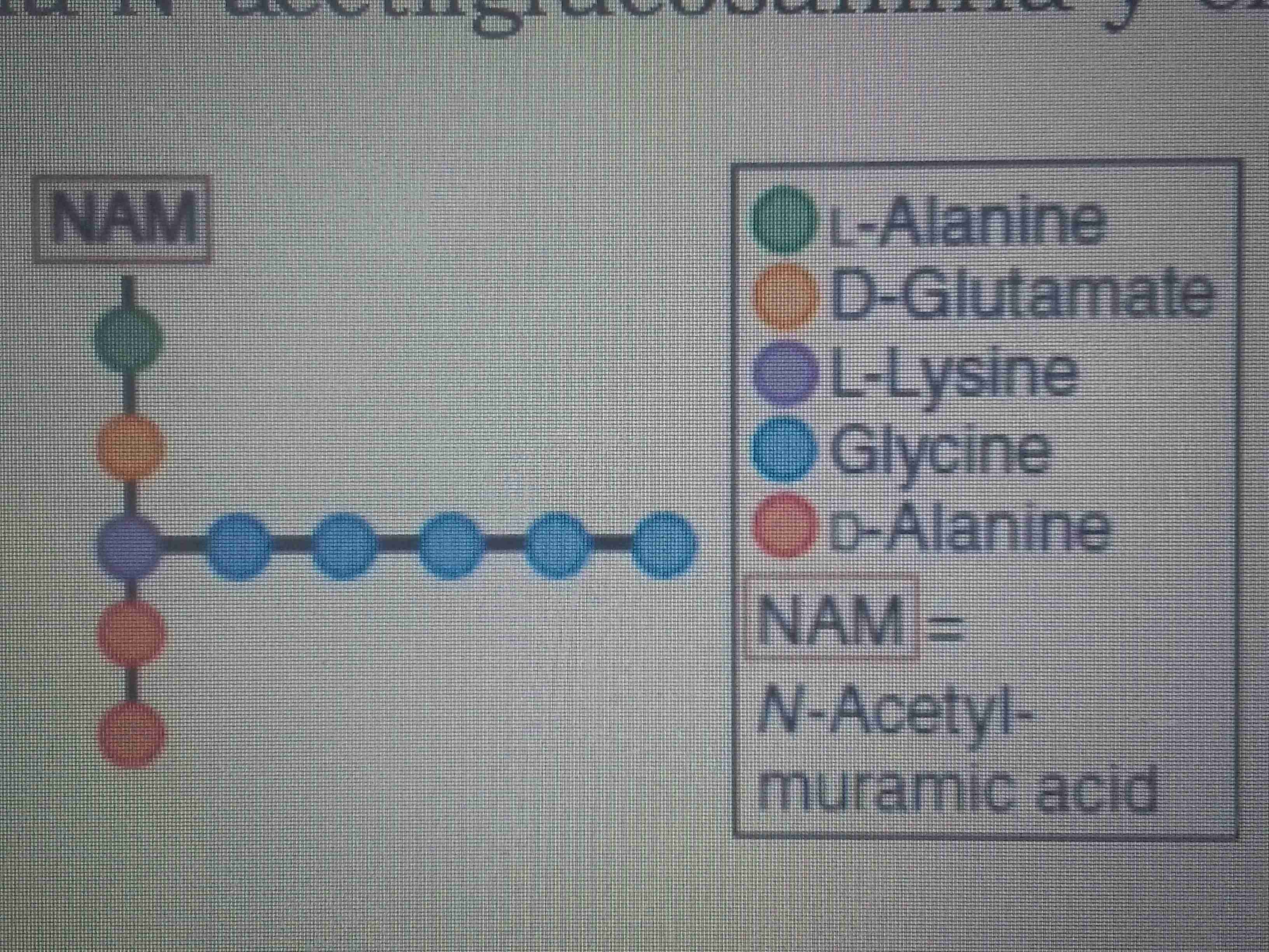 <p></p>