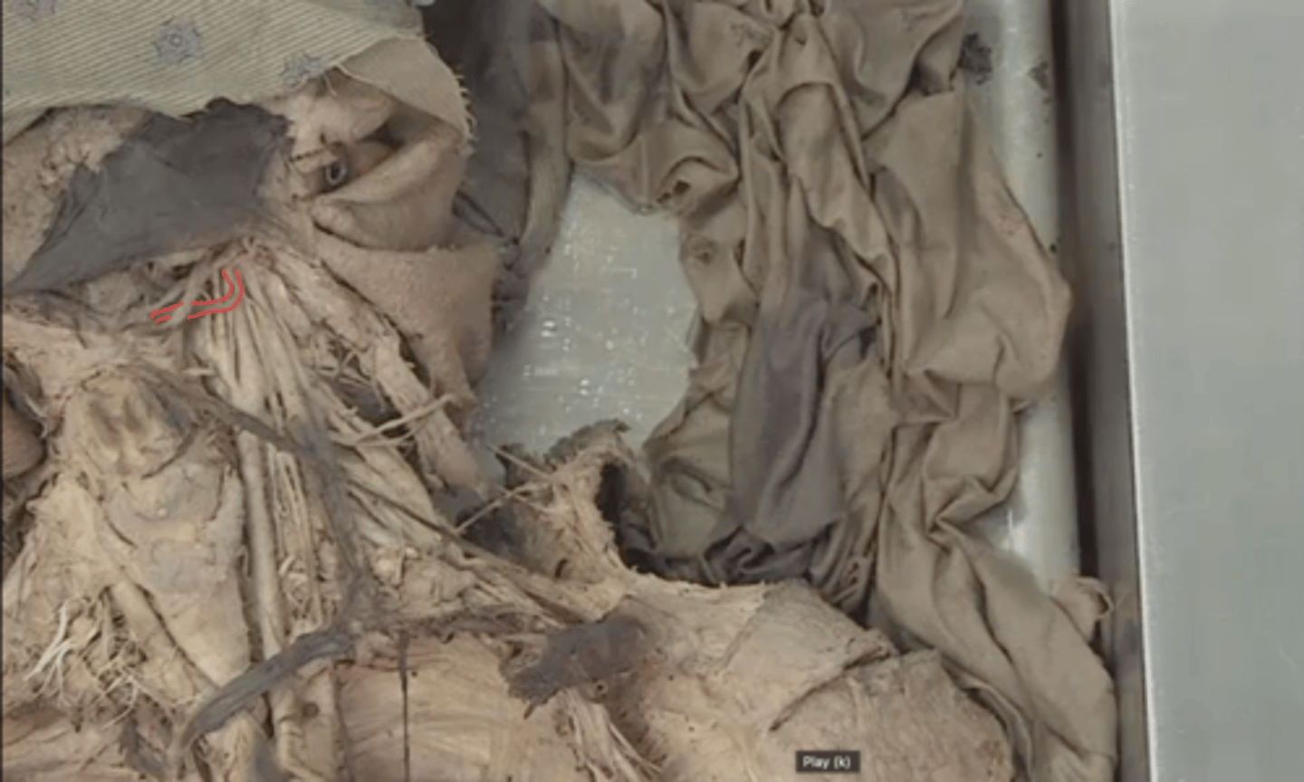 <p>identify this structure</p>