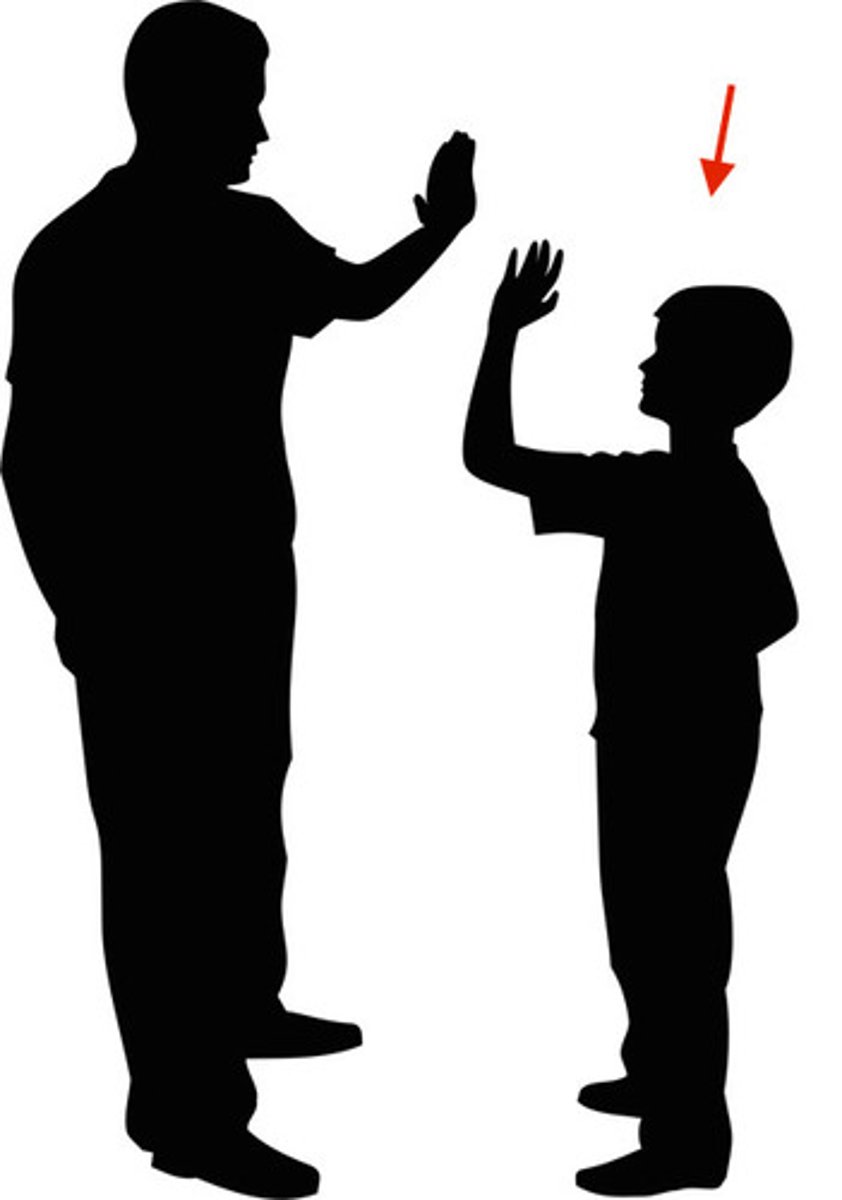 <p>hijo</p>