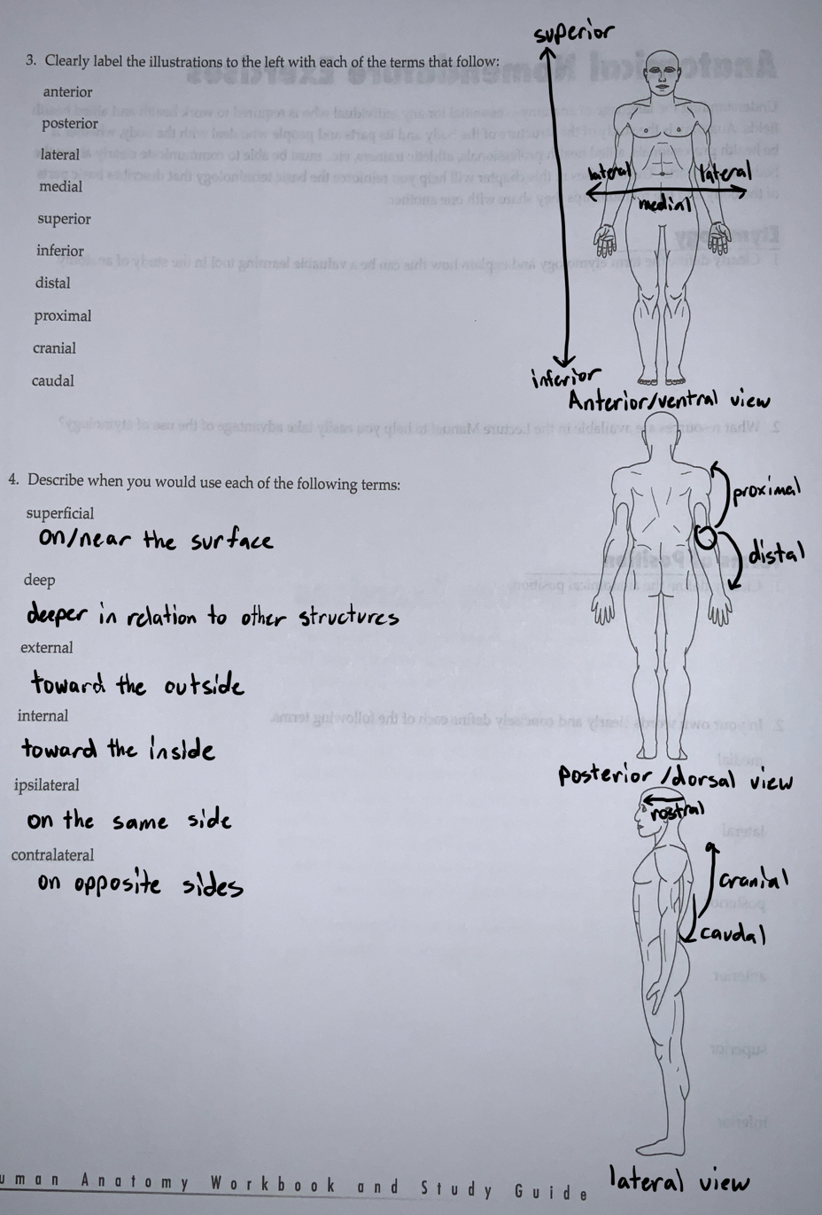 knowt flashcard image