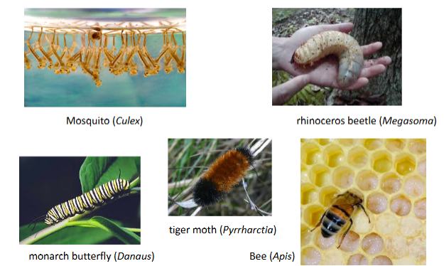 <p>What are these?</p>