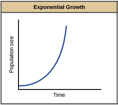 <p>Identify the type of distribution.</p>