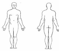 standing erect, heels together, arms at sides with palms anterior and thumbs lateral