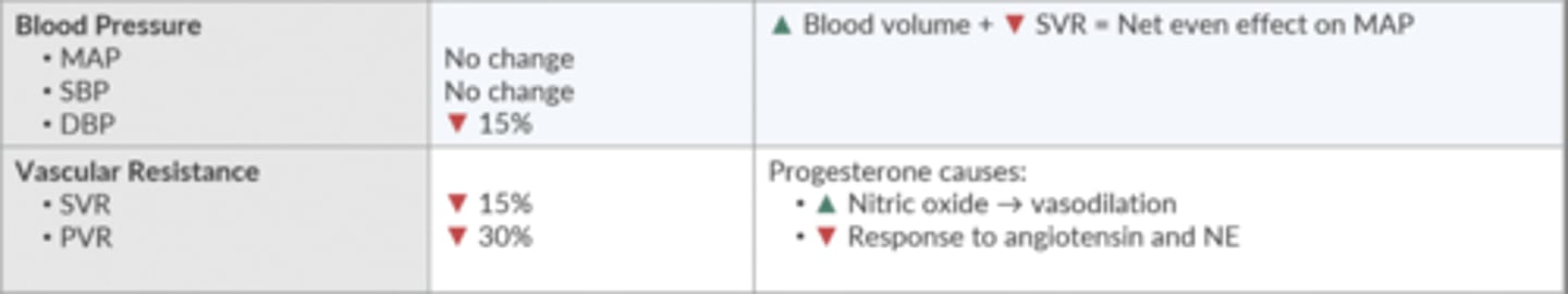 <p>↑ BV + ↓ SVR = net effect on MAP</p><p>Progesterone causes ↑ NO → vasodilation + ↓ response to angiotensin + NE</p>