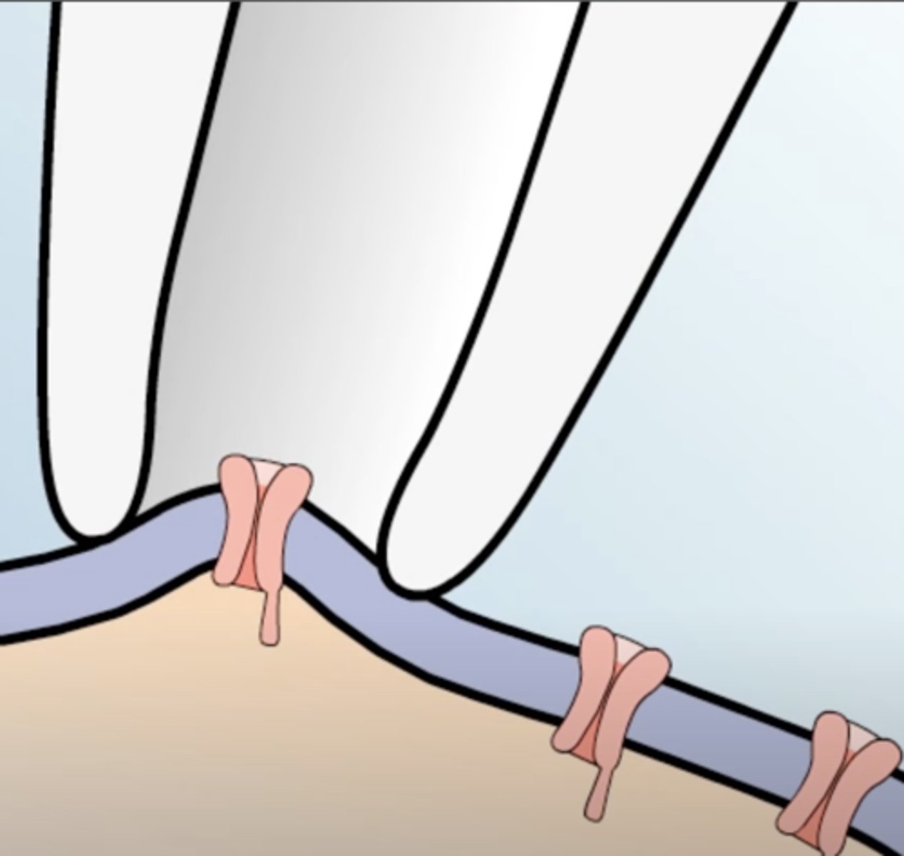 <p>- Glass pipette forms a tight seal over an ion channel</p><p>- Ions must flow through the pipette allowing changes in voltage to be measured.</p>