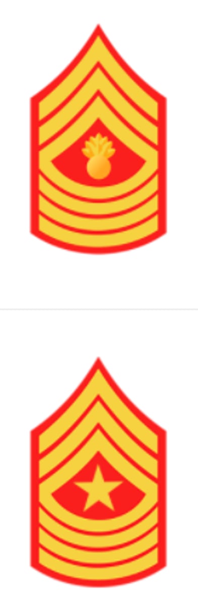 <p>Master Gunnery Sergeant (MGySgt)/Sergeant Major (SgtMaj)</p><p>Three chevrons with a bombshell and four rockers</p><p>OR</p><p>Three chevrons with a gold star and four rockers</p>
