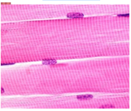 <p>What is this?</p>