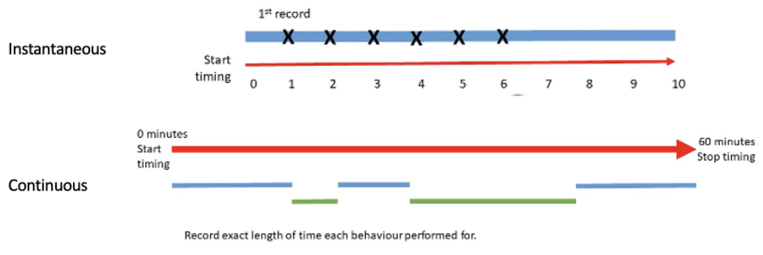 <p>recording techniques</p><ul><li><p><strong>instantaneous</strong> (e.g. instant, scan sampling of a group or individual), good if you know the individual but can’t do continuous due to setup/environment</p><ul><li><p>divide the sample period into short intervals and record behaviour on the time point, need to be close enough so nothing is missed but not so close that we get pseudo-replication (do not give subject time to change behaviour naturally) </p></li><li><p><strong>instantaneous focal sample</strong> - note the behaviour occurring at every time point (e.g. record every 2 mins for an hour) - might be walking, feeding, standing</p></li><li><p>or can do an<strong> instantaneous scan sample</strong> of all animals but give the number of individuals performing each behaviour at each time point</p><ul><li><p>overall score expressed as a proportion of the observation time</p></li></ul></li></ul></li><li><p><strong>continuous </strong>- recording the total time spent by an individual on each behaviour, good if you know the individual</p><ul><li><p>exact record of behaviour recorded at each occurrence (mins or seconds on each), keep timing behaviour until animal does something else</p></li><li><p>necessary for true frequencies / duration</p></li></ul></li><li><p><strong>one-zero sampling</strong> (yes I saw it, no I didn’t, good for rare activity)</p><ul><li><p>record whether the behaviour has occurred in sample period</p></li><li><p>have same observation time of an hour, broken down into 2 mins and say whether you see the particular rare behaviour - can then work our the rate the behaviour occurs for</p></li><li><p>often goes in conjunction with behavioural sampling</p><p></p></li></ul></li></ul><p></p>