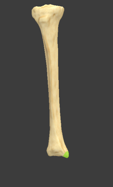 <p></p>