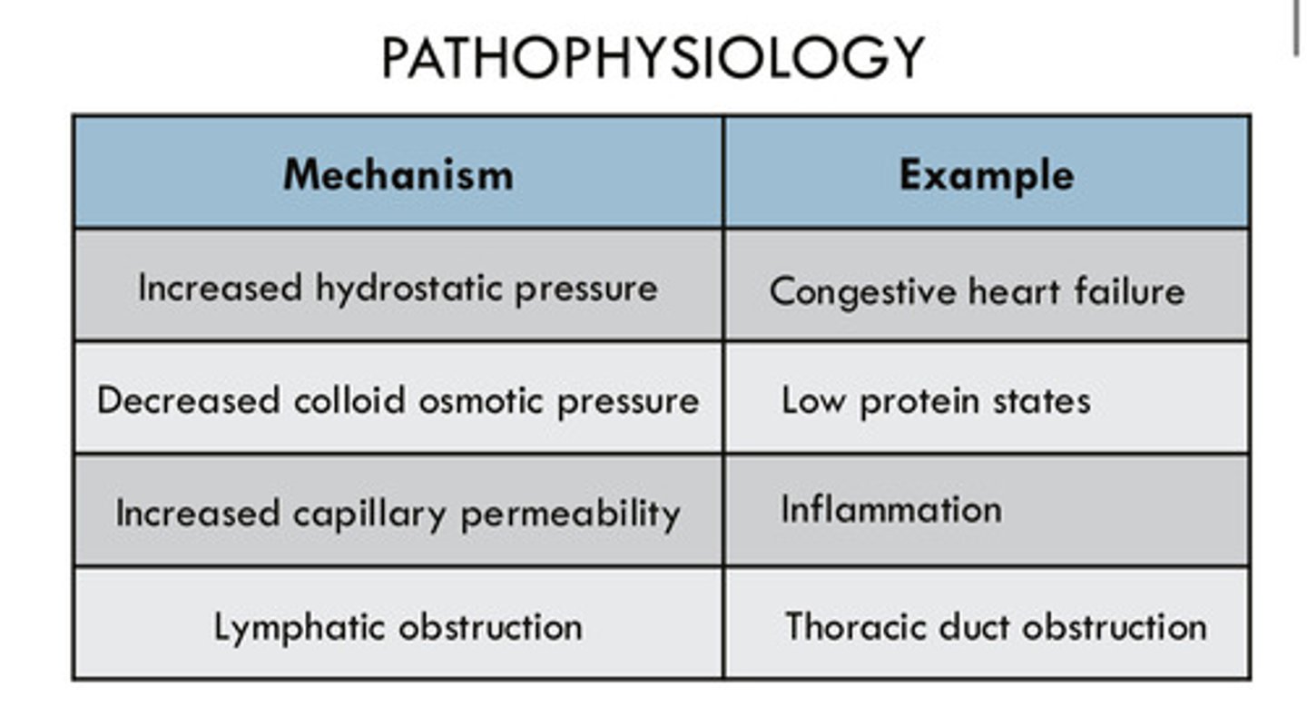 <p>1) increased hydrostatic pressure (ex: congestive heart failure)</p><p>2) decreased colloid osmotic pressure (ex: low protein states)</p><p>3) increased capillary permeability (ex: inflammation)</p><p>4) lymphatic obstruction (ex: thoracic duct obstruction)</p>