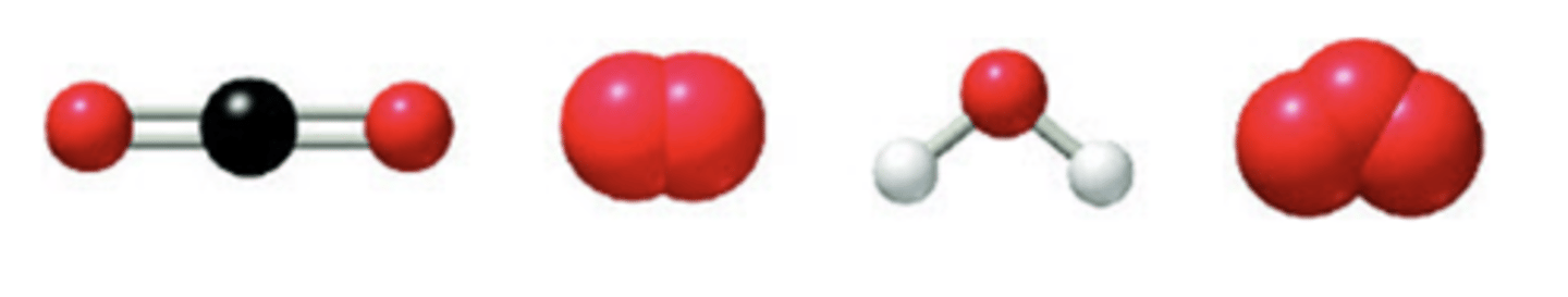 <p>Here are visual representations (ball-and-stick and space-filling models) of four molecules: carbon dioxide, oxygen, water, and ozone.</p><p>*Which of these molecules contain polar bonds, and which contain nonpolar bonds? Sort the images accordingly.</p><p>*Which of these four molecules is nonpolar despite the fact that it contains polar bonds?Choose one:</p><p>A. carbon dioxide</p><p>B. oxygen</p><p>C. water</p><p>D. ozone</p><p>*Which of these four molecules is polar and contains polar bonds?Choose one:</p><p>A. carbon dioxide</p><p>B. oxygen</p><p>C. water</p><p>D. ozone</p><p>Which of these four molecules is polar despite the fact that it does not contain any polar bonds?Choose one:</p><p>A. carbon dioxide</p><p>B. oxygen</p><p>C. water</p><p>D. ozone</p>