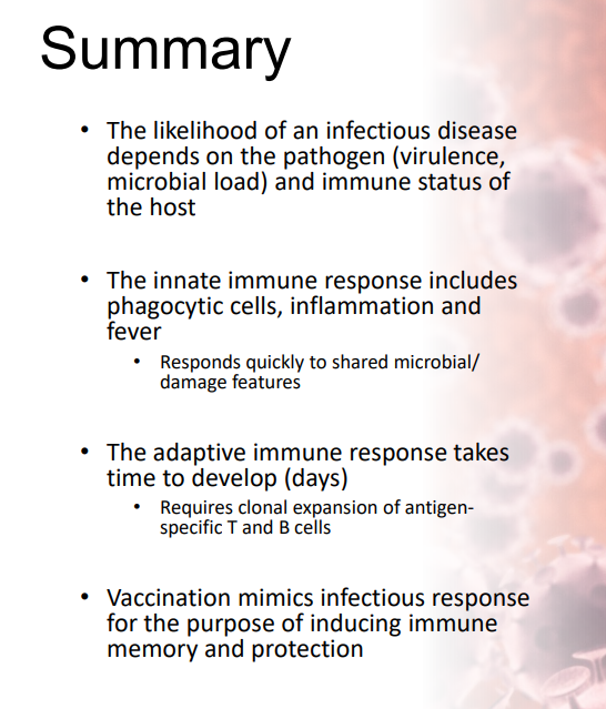 <p>Summary</p>