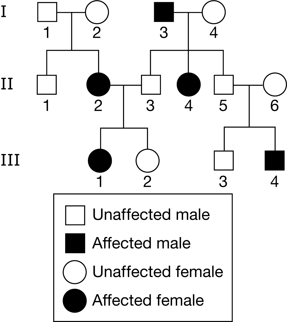 <p>Figure 1. Pedigree of an inherited trait</p><p>Based on the pedigree in Figure 1, which of the following best explains the observed pattern of inheritance?</p><p>A) The trait is autosomal dominant, because the cross between individuals I-3 and I-4 produced an affected offspring.</p><p>B) The trait is autosomal recessive, because the cross between individuals I-1 and I-2 produced an affected offspring.</p><p>C) The trait is sex-linked dominant, because the cross between individuals II-5 and II-6 produced an affected male.</p><p>D) The trait is sex-linked recessive, because the cross between individuals <span>II-2</span> and <span>II-3</span> produced an affected female.</p>